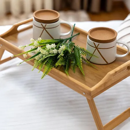 Fenix - Free & Wellness * 즐라티보