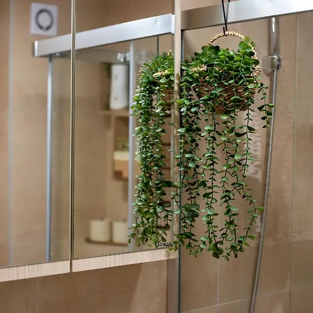 Fenix - Free & Wellness 아파트 *