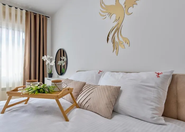 Fenix - Free & Wellness