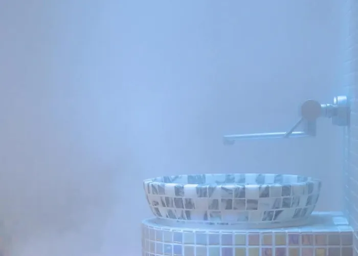 Apartament Fenix - Free & Wellness *